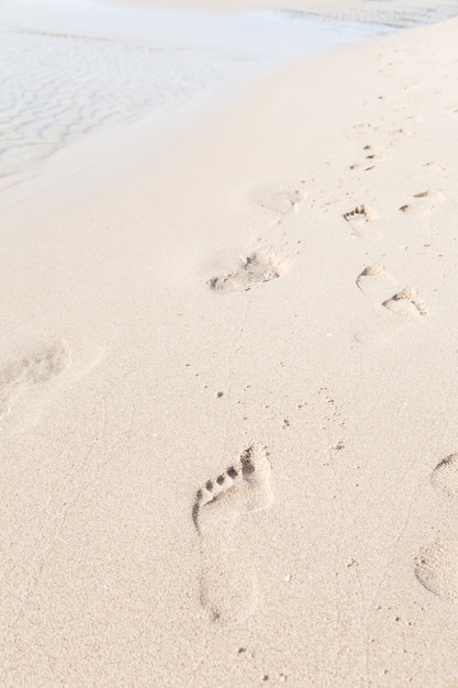 Photo footprints on the beach