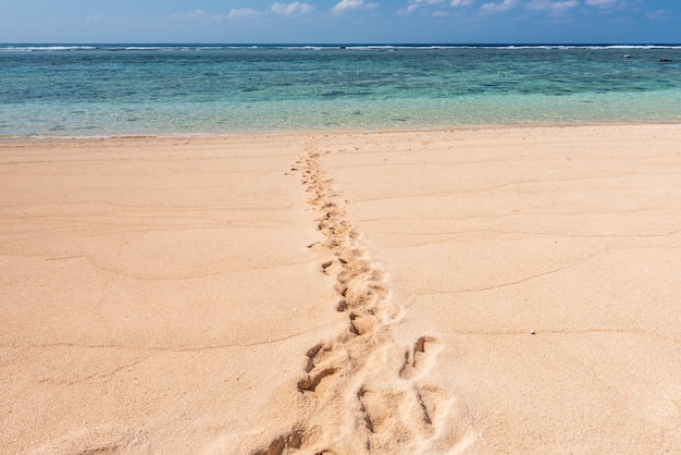 Footprints forming a path in the sand to the sea