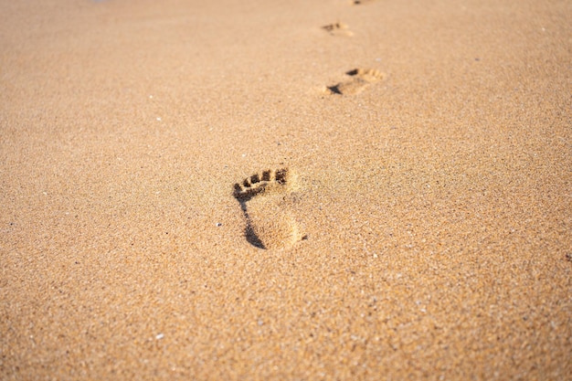 Footprints On Ocean Sandy Beach