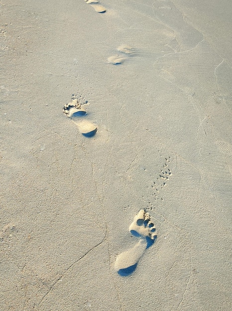 Footprints of people in the sand on the beach