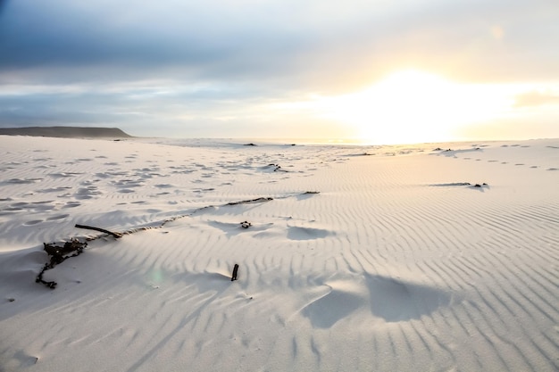 Footprints in the sand on a beach at sunset in Cape Town South Africa