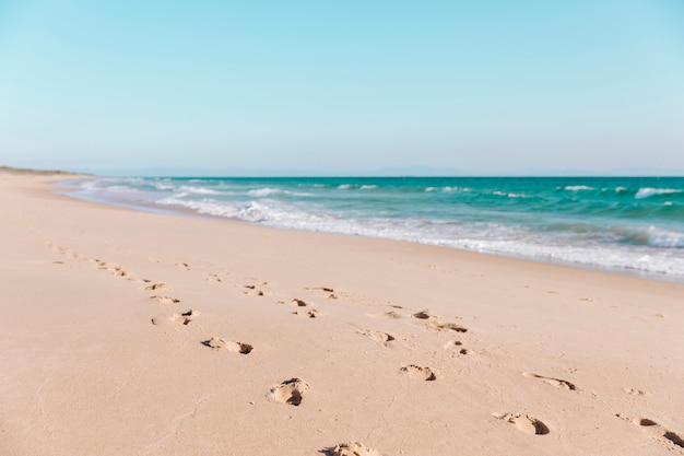 Footprints in sand on beach