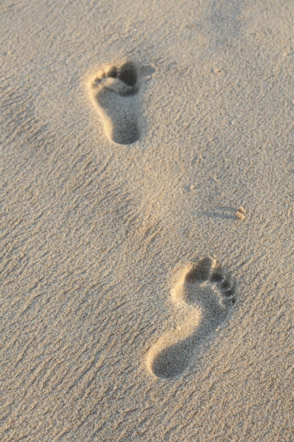 Footprints in the sand on the beach