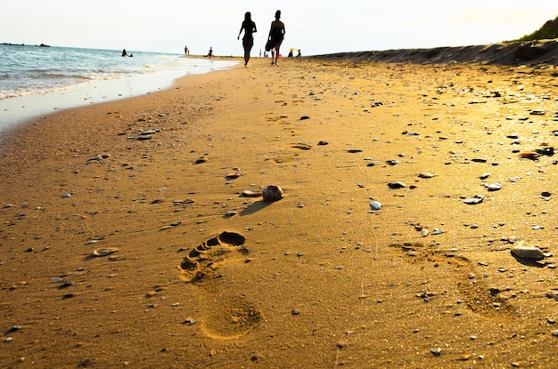 Footprints in the sand near the sea.