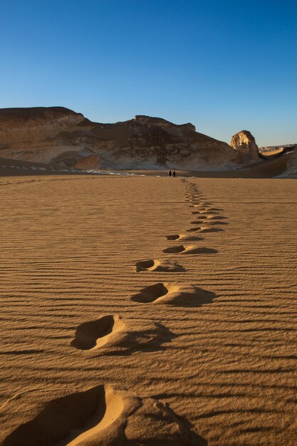 Footprints in the sand in the Sahara desert