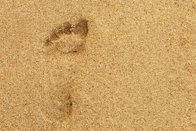 Footprints in the Sand