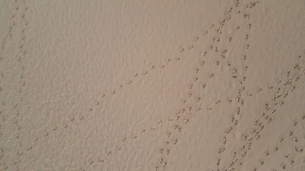 Footprints sandy beach texture top view aerial zoom on human footmarks on sand