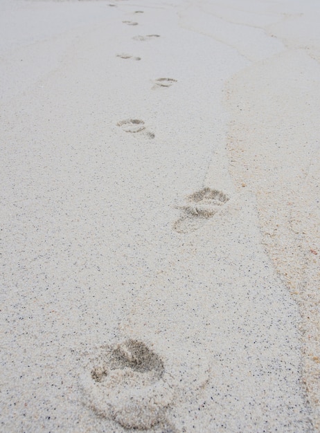 Footprints on sandy beach