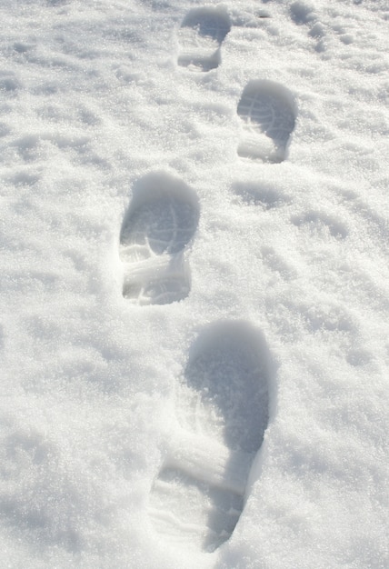 footprints in the snow