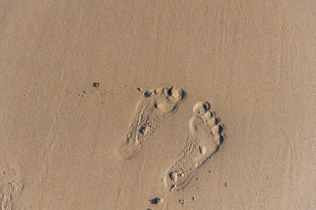 Photo footprints on wet sand by the sea