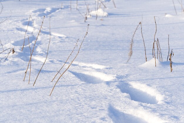 Footsteps on the deep snow. global cooling or warming concept