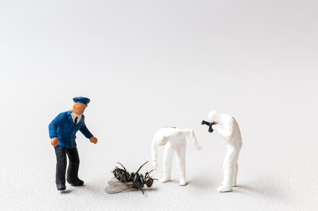 The forensic police are searching for the cause of the fly's death