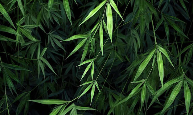 Forest bamboo background Leaves green wallpaper For banner postcard book illustration card Created with generative AI tools