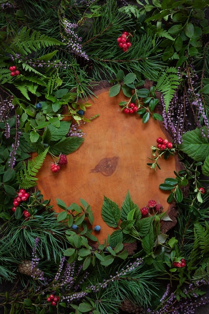 Forest berries pine branches with cones forest heather and fern on a brown background