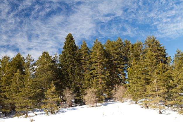 Forest and Clouds from Abant Bolu Turkey