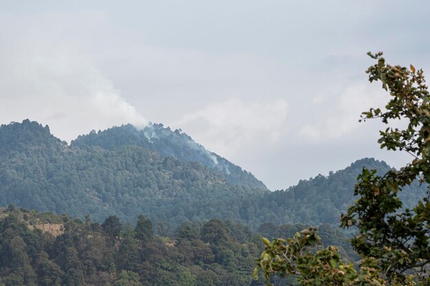 Forest fire on a cloudy day