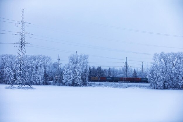 The forest is covered with snow Frost and snowfall in the park Winter snowy frosty landscape