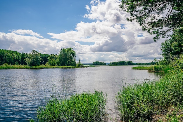 Forest lake at sunny day