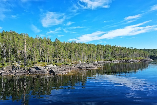 forest lake top view, landscape nature view forest, background