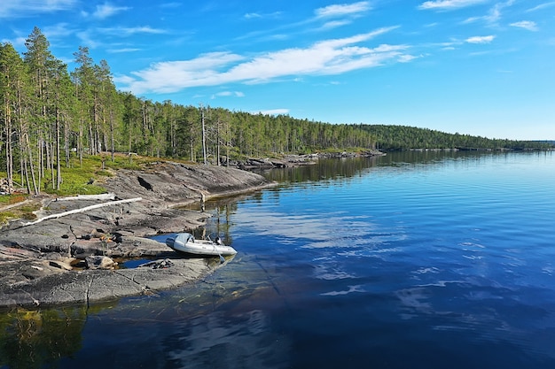 forest lake top view, landscape nature view forest, background