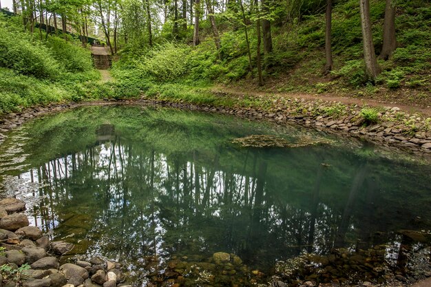 Forest lake with clear water in which reflects the forest and sky