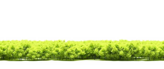 forest line with shadows under the trees, isolated on white background, 3D illustration, cg render