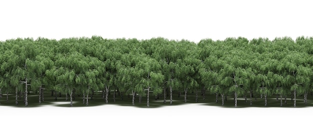 forest line with shadows under the trees, isolated on white background, 3D illustration, cg render