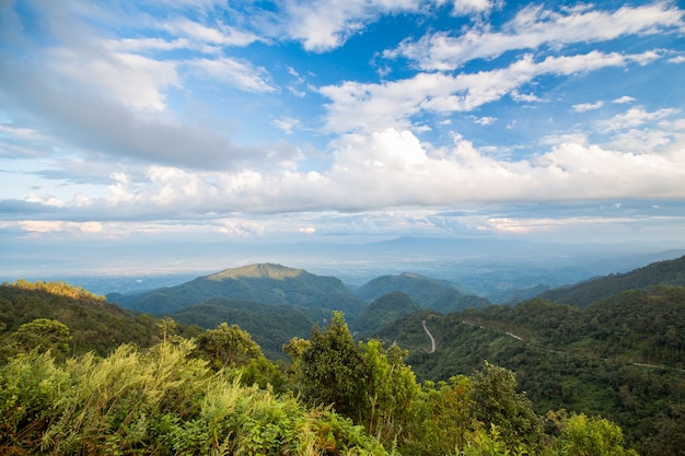 Forest mountain and blue sky