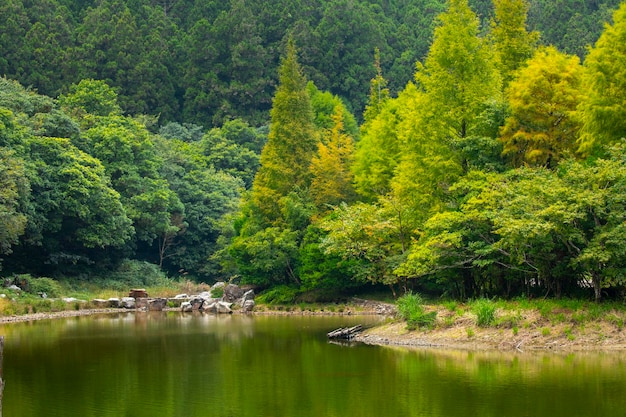 The forest and mountain lakes, Mingchi, Yilan County, Taiwan, is a famous tourist attraction