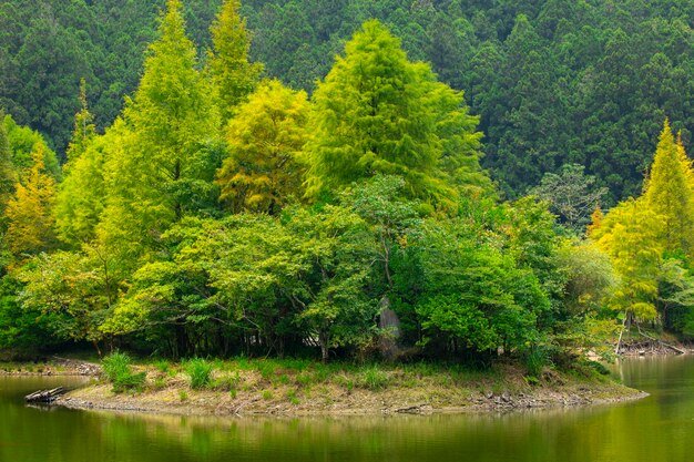 The forest and mountain lakes, Mingchi, Yilan County, Taiwan, is a famous tourist attraction