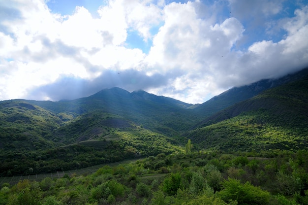 Forest mountain ridges, landscapes series