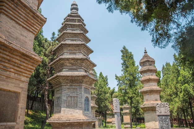 Forest pagodas of the Shaolin Monastery