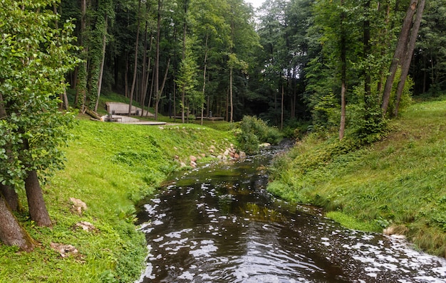 A forest park with large trees and creative benches and arches. 