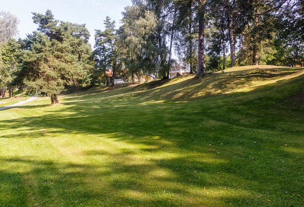 A forest park with large trees 