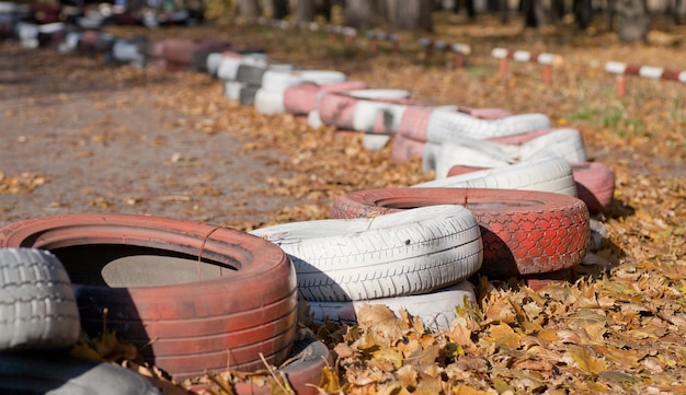 Forest polluted with old tires