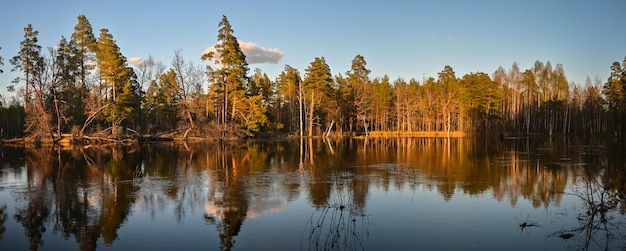 Forest reserve river in central Russia