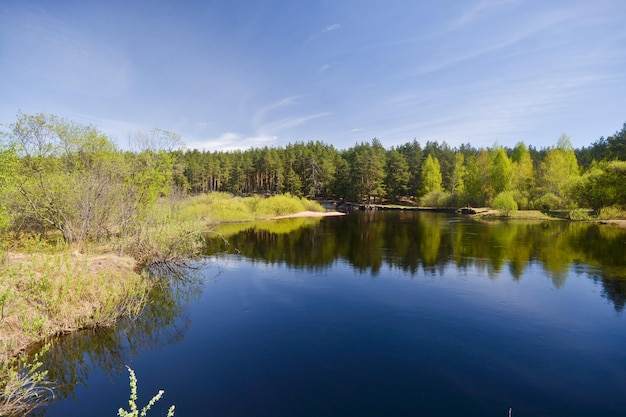 Forest river in the national park of Russia is springtime