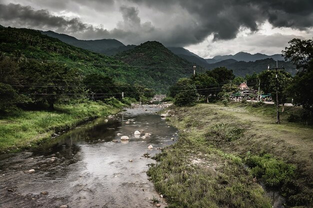 Forest river wild landscape. Wild river stream rocks flowing , Thailand