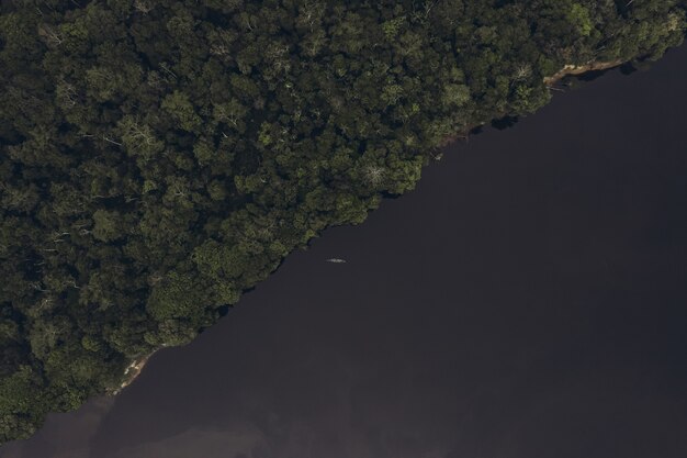 Forest and river with a boat in the center photo from a height high quality photo