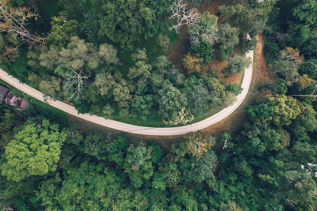 Forest road in the morning from above at the countryside