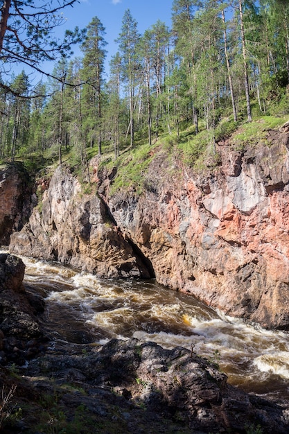 Forest on the rocks in canyon of the stormy river, Finland. Oulanka National Park