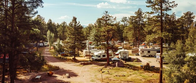 Forest RV park under a clear blue sky with numerous motorhomes and campers spread out among tall trees creating a relaxed and rustic vacation atmosphere