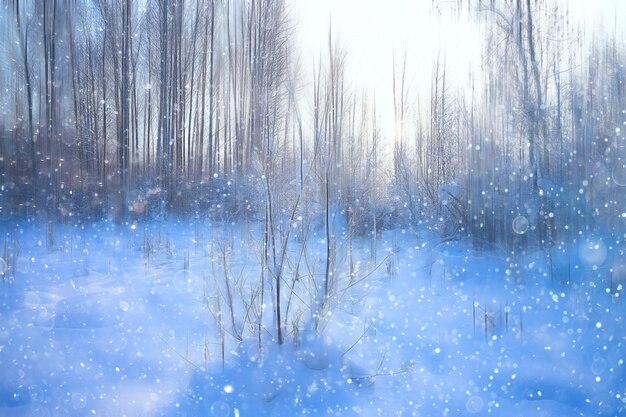 forest snow blurred background / winter landscape snow-covered forest, trees and branches in winter weather