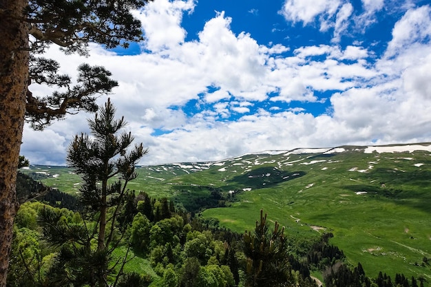 A forest standing by the rocks overlooking the Alpine meadows The LagoNaki plateau in Adygea Russia 2021