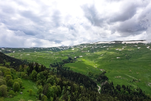 A forest standing by the rocks overlooking the Alpine meadows The LagoNaki plateau in Adygea Russia 2021