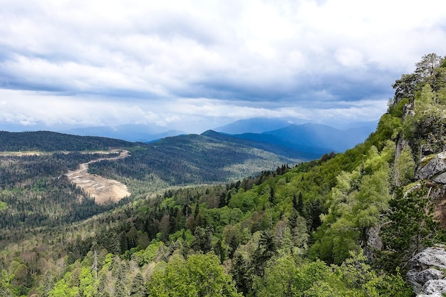 A forest standing by the rocks overlooking the Alpine meadows The LagoNaki plateau in Adygea Russia 2021