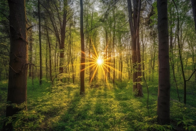 Forest at sunrise with rays of sunlight shining through the trees created with generative ai