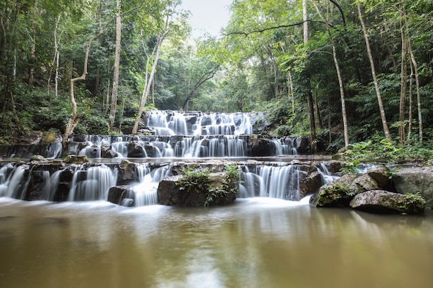 forest waterfall at National Park, Panorama