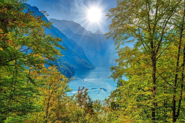 Forest window with view on lake near Schoenau am Koenigssee Konigsee Berchtesgaden National Park Bavaria Germany