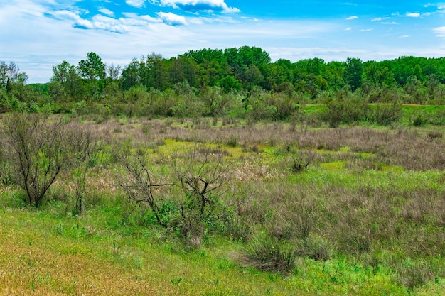 Foreststeppe landscape in the Caspian coast in Dagestan